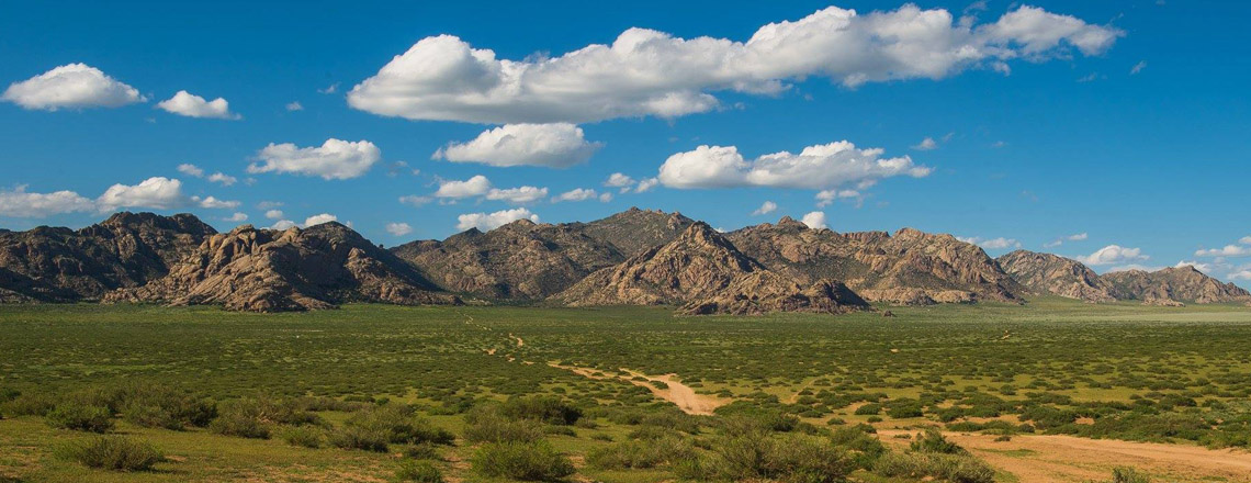 Хөгнө Тарна